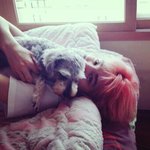 [인피니트] 님들아 저 <b>성종</b>이 계새끼임