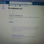 [블락비] <b>그해</b>마우는소리물어본꿀벌있자나!