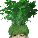 [EXO] 요즘 내가 키우는 <b>식물</b>인데