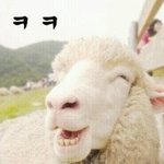 [EXO] 김민석 희귀<b>증사</b>  1초빛