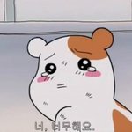 [EXO] 우리학교 전교일등 엑소팬인데 