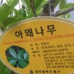 [EXO] 이거우결제작진한테<b>축하선물</b>보내라