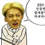 [EXO] 우결 <b>폐지</b>언제함? 존나화나네