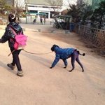 [유머] 개가 나보다 잘 <b>입고</b> 다니네...