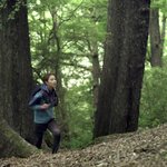 [공효진] 공효진 최근 cf 보셨<b>나용</b>????