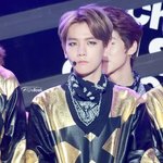 [백현] 변백현의<b>조련</b>