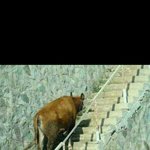 아..대박 소<b>오름</b>...