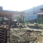 [양주보호소] 2월15일 양주보호소 소식입니다~