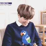 [EXO] 강아지를 보고 귀여워하는 종인이와