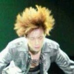 [EXO] 민들레이
