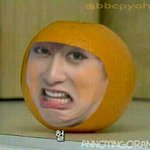 [블락비] 헐우코샤언니;;;;