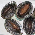 전복라면 정말 맛있네요