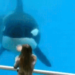 [남자의심리] <b>남심</b> 종결한다.27공대오빠