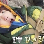 [인피니트] 닥꽃밴다시보는데