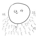 [<b>유머</b>] 우린 이렇게 태어낫죠.jpg