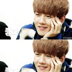 [백현] 백현인 설레야 제 맛