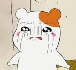 [인피니트] <b>초토화</b>된이유가 뭐져