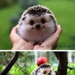 [블락비] <b>BJ</b>오이