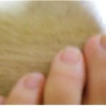 [블락비] 할짓안할짓 사리<b>분별</b>못하나