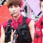 [카이] <b>늑대</b>는 늑댄데 아가<b>늑대</b>