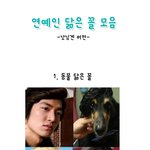 연예인 닮은꼴 (낫닝겐 <b>ver</b>.)