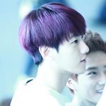 [EXO] <b>보라</b>머리