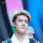 [EXO] 세훈이머리 뭐가제일나음?
