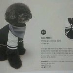 [백현] EXO 백현의 반려<b>동물</b> 스타디움 점퍼