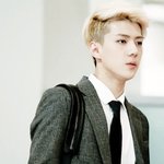 [세훈] 이런저런 세훈이에대한 내 마음
