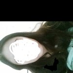 <b>머리스타일</b> 얼굴형 자르고 사진 추가 ㅋㅋ