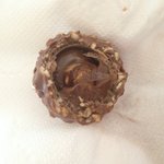 페레로<b>로쉐</b> 구더기