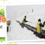 하늘의빛과 비와 공기같이 사랑 실천하는 신천지 자원봉<b>사단</b>!