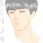 [세훈] 세훈팬<b>아투</b> @.@