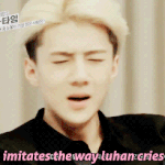 [EXO] 아 왜 다 테런해 크아하자