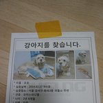 찾습니다!!!!(강서구 화곡3동 파출소 근처에서 2월17일 <b>실종</b>)