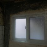 [어이없음] 월세집 곰팡이 판단좀 해주세요