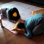 조금 특별한 막<b>내남</b>둥이네 이야기 e.02