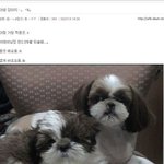 [EXO] 너네 <b>연</b><b>느</b>님어렸을때 쓴거봄?