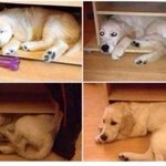 [EXO] 여자한테 고백받았는데 모르겠다..