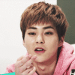 [EXO] 애초에가수를하지마ㅅㅂ