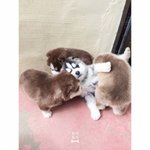 [<b>유머</b>] 셋이서 한명을.jpg