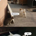 [세훈] 그냥 좀 웃겨서 가져옴 ㅋㅋ