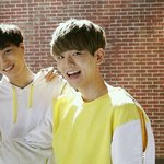 [백현] 노란뿅<b>아리</b>같잔아ㅋㅋㅋㅋㅋㅋ병아리