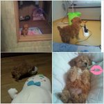 우리두부를 소개합니다 : )