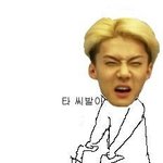 [EXO] 후시발나<b>져지</b>번장에서샀는데