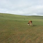 [시우민] ㅅㄷ)오늘여기터지는뎈ㅋㅋ