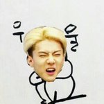 [EXO] 얘들아 우울증테스트나 한번해봐ㅋㅋㅋㅋㅋ