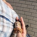 다람쥐와 친구가 된 훈남