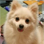 우리집<b>보물</b>