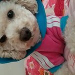두부를 소개합니다 ~~: ) 2